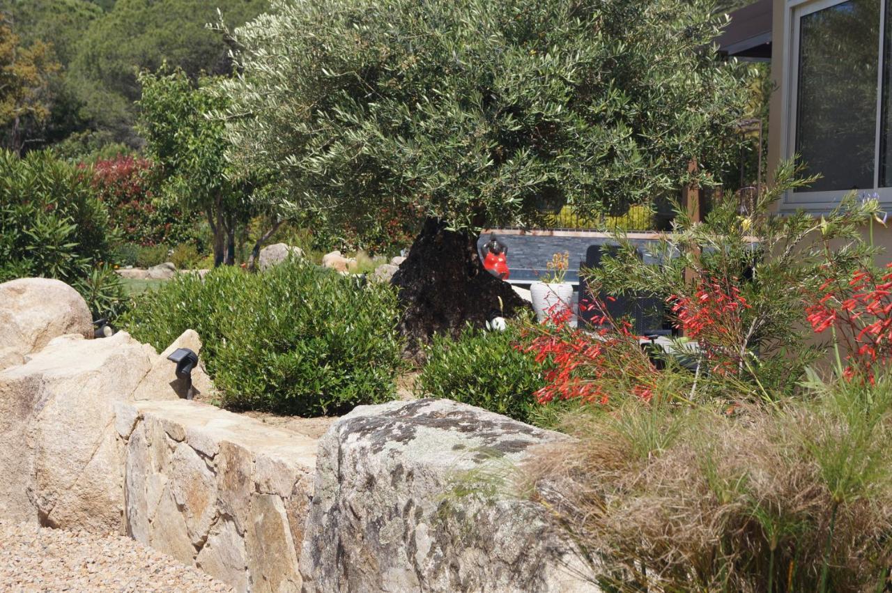 Les Jardins De Santa Giulia - Charmante Chambre D'Hote Porto-Vecchio  Eksteriør billede
